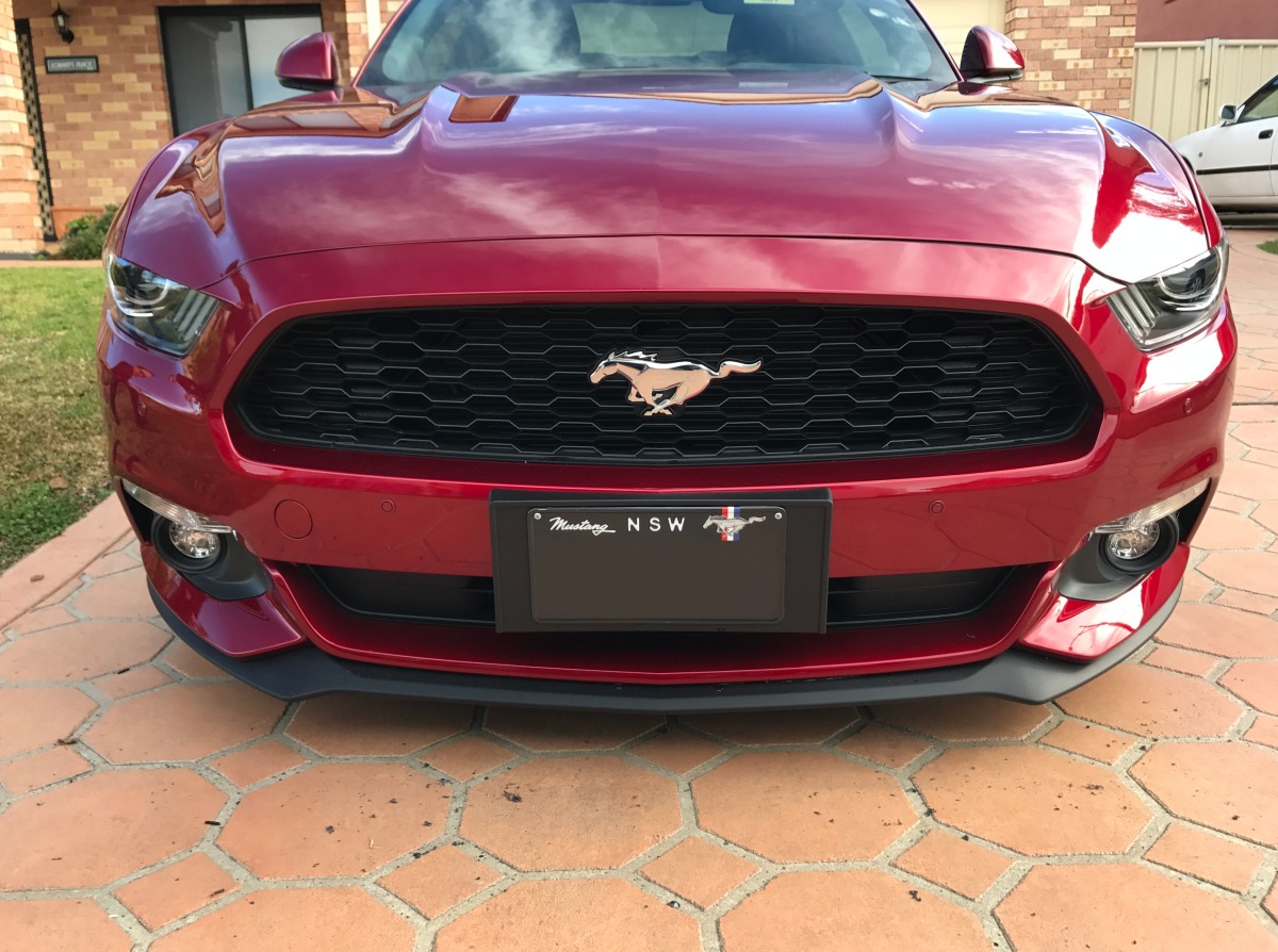 Mustang Front Parking Sensors Creative Installations